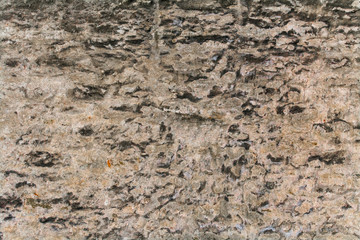 Ancient wall