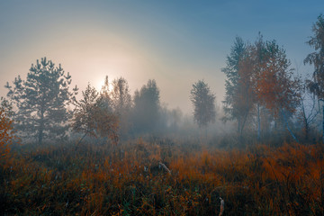 Fototapeta na wymiar Beautiful autumn misty sunrise landscape. Foggy morning at scenic meadow.