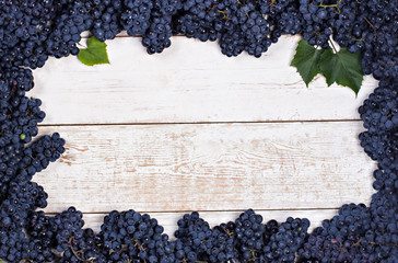 Blue grapes on white old boards. Background with grapes, Top view, closeup. Place for your text.