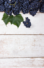 Blue grapes on white old boards. Background with grapes, Top view, closeup. Place for your text.