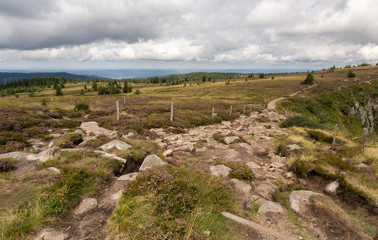 Chemin de randonnée en montagne