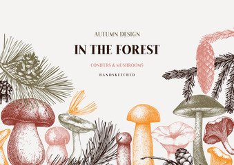 Vector conifers and mushrooms vector design. Hand drawn autumn forest template. Vintage plants sketches. Perfect for recipe, menu, label, icon, packaging. Vintage mushrooms background. 