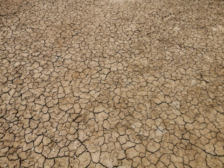 The ground is brown, caused by drought and global warming.