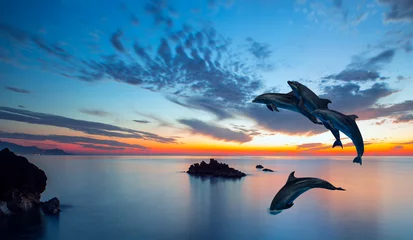  Silhoutte of beautiful dolphin jumping up from the sea at sunset with super moon "Elements of this image furnished by NASA " © muratart