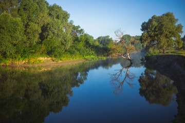 Fototapeta na wymiar Beautigful summer landscape of river water, green trees and blue sky. Horizontal color background.