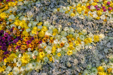 Flowers background. Flowers arrangement of yellow, white and fuchsia chrysanthemum. Flowers draw a zigzag. Top view. Holiday background.