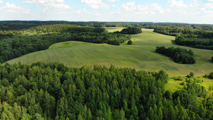 Obraz premium Aerial View Of A Forest During Summer Season