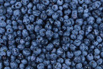 Fresh blueberry background. Texture blueberry berries close up.
