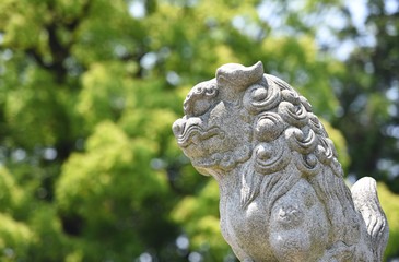 guardian dog statue in japanese traditional shinto shrine