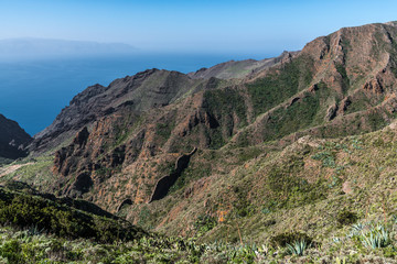 Fototapeta na wymiar Green mountains on the island of Tenerife