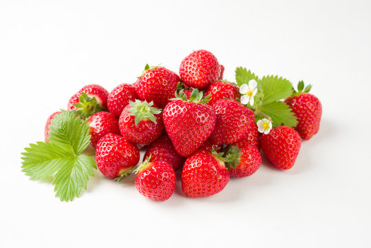 Frische rote Erdbeeren angeboten als closeup auf weißen Hintergrund mit Textfreiraum - freigestellt