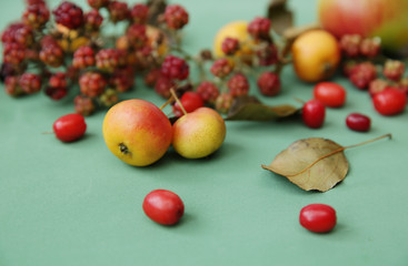 Autumn still life of wild apples with dried leaves, berries, dogwood and blackberries on a green background. Autumn gifts of the forest. Pattern, background. Close-up.