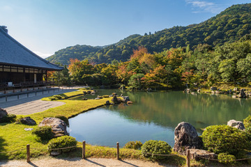 Fototapeta premium Refreshing summer in Kyoto,Japan