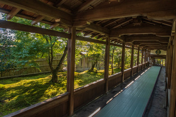Fototapeta na wymiar Refreshing summer in Kyoto,Japan