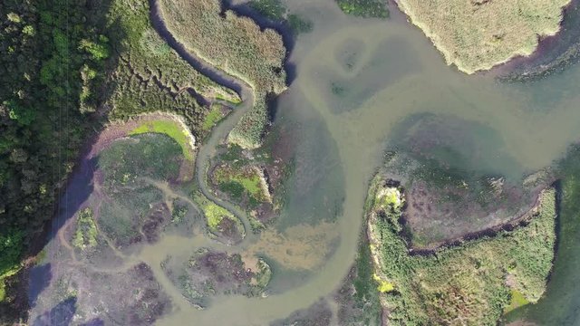 Aerial view, Marshes in Rada, Marismas de Santo&ntilde;a, Noja y Joyel Natural Park, Cantabria, Spain, Europe