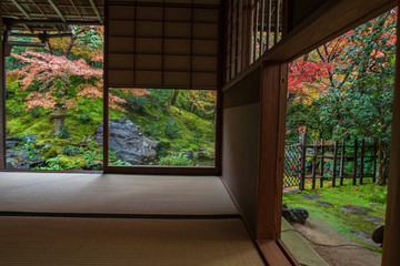 Refreshing autumn in Kyoto,Japan