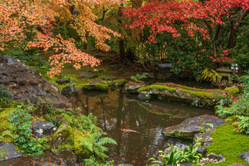 Obraz na płótnie Canvas Refreshing autumn in Kyoto,Japan