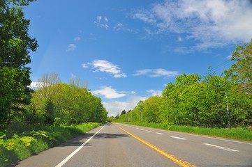 Fototapeta premium Long straight road in Hokkaido
