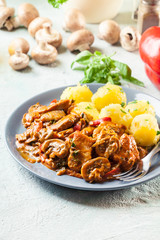 Fresh turkey ragout with mushrooms