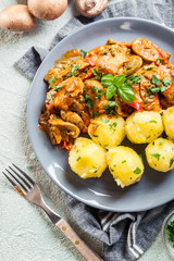 Fresh turkey ragout with mushrooms