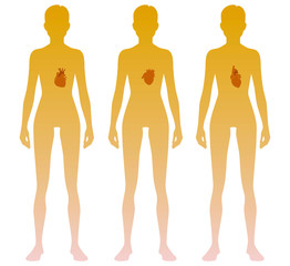 Woman silhouette with heart location on body. Illustration