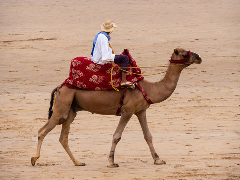 Kamelreiter am Strand