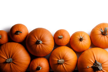 Many orange pumpkins
