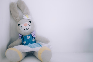 Little plush bunny on a white background.
