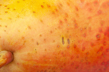 Pear skin surface texture pattern close up detail macro. Abstract background.