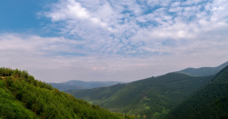 Landscape view of Bwindi Impenetrable Forest, Uganda