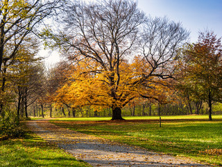 parkanlage laxenburg