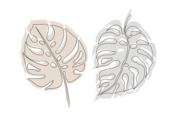 Exotic monstera continuous one line drawing summer tropical leaf hand drawn on white background minimalist design. Monstera leaf Minimal Line Style. Continuous One Line drawing Abstract Vector © DaisyArt