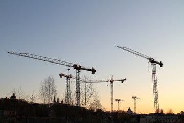 Cranes in Vilnius