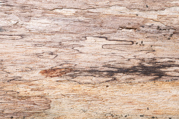 Fototapeta na wymiar Background scene from old wooden floors
