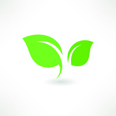 Eco icon green leaf vector illustration isolated