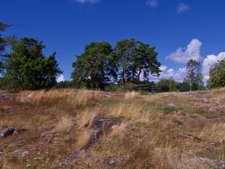 Obraz premium beautiful landscape in Sweden, Karlstad