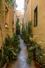 Fototapeta na wymiar Plants in plant pots line a narrow alleyway in the Victoria Old Town, Gozo, Malta.