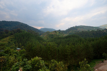 Fototapeta na wymiar Landscape view of Bwindi Impenetrable Forest, Uganda
