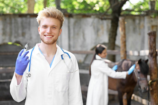 Veterinarian Going To Vaccinate Horse On Farm