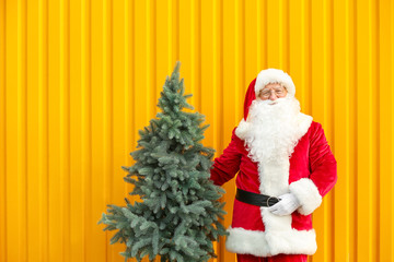 Santa Claus with fir tree on color background