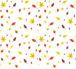Seamless pattern from autumn leaves painted with watercolors on white background. Coloured bright leaves hand-painted, paint, texture, watercolor