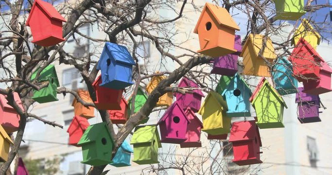 Many bird houses are swing on a dry tree at wind