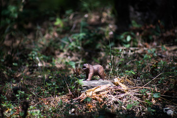 Brown bear walking in forest. Mini bear figure (or toy bear) at the park.