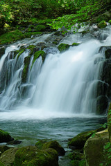 Fototapeta premium 夏の蓼科大滝