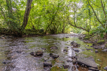 Small shaded river in Wales