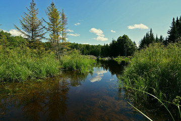 Fototapeta na wymiar Beavder pond with clouds reflection in northern maine