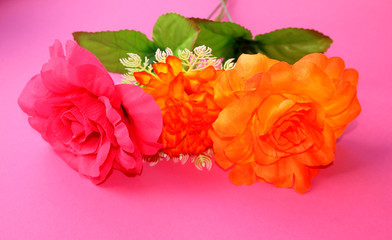 Three beautiful flowers on a pink background.