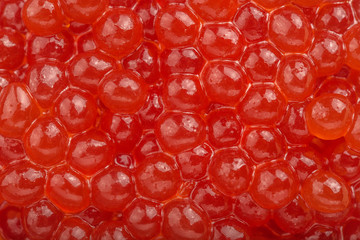 red caviar magnesium; iron; phosphorus; iodine; A and E; Vitamin D; high value protein