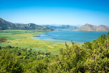 Naklejka na ściany i meble Skadar Lake in Montenegro, wetland and mountain views.