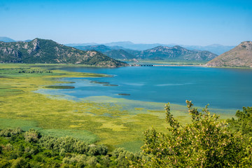 Fototapeta na wymiar Skadar Lake in Montenegro, wetland and mountain views.
